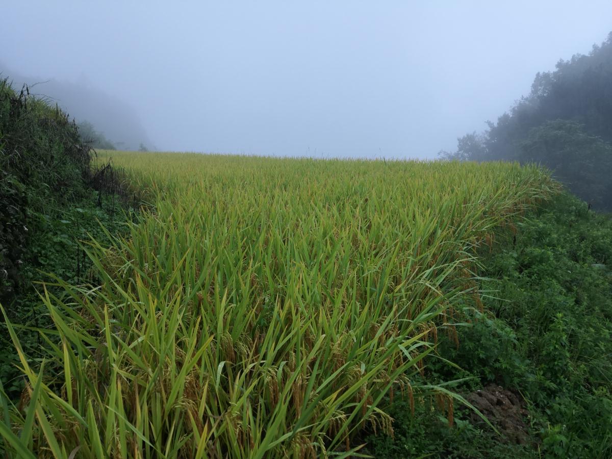 mg冰球突破(中国)官方网站